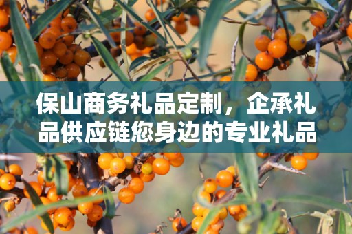 保山商务礼品定制，企承礼品供应链您身边的专业礼品定制公司