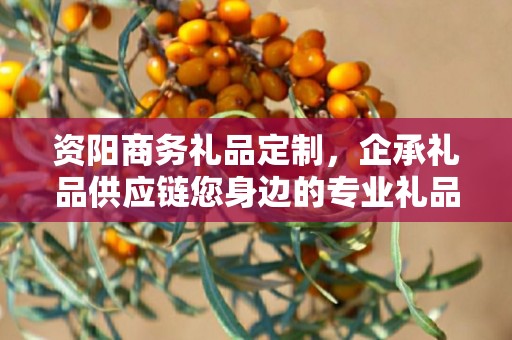 资阳商务礼品定制，企承礼品供应链您身边的专业礼品定制公司