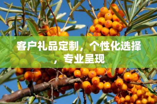 客户礼品定制，个性化选择，专业呈现